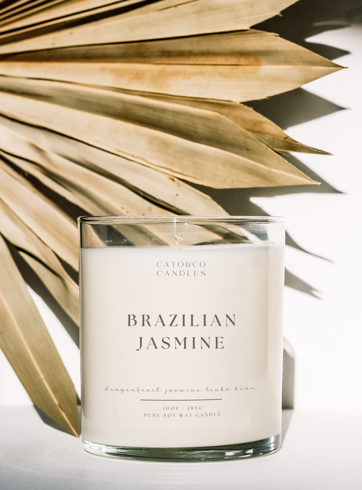 Brazilian Jasmine | Studio Collection