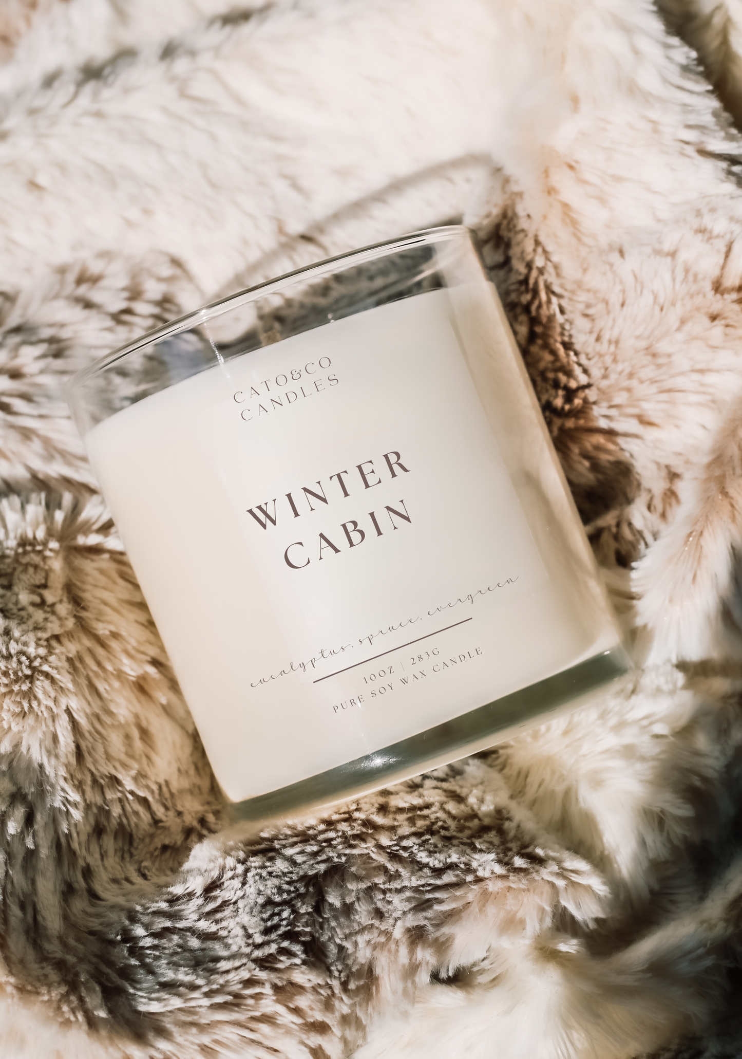 Winter Cabin | Studio Collection